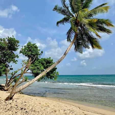 Apartmán Agreable T2 A 5 Min Des Plages Sainte-Luce Exteriér fotografie