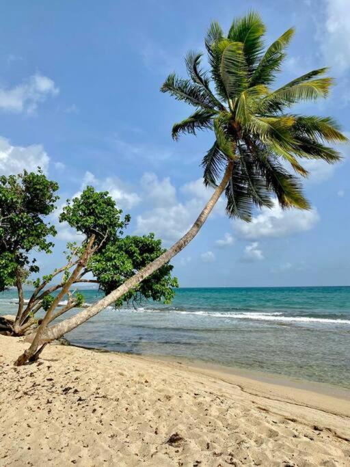 Apartmán Agreable T2 A 5 Min Des Plages Sainte-Luce Exteriér fotografie